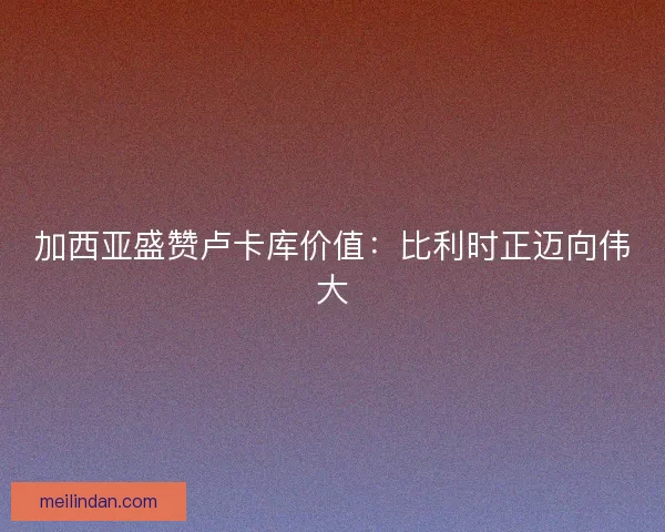 加西亚盛赞卢卡库价值：比利时正迈向伟大