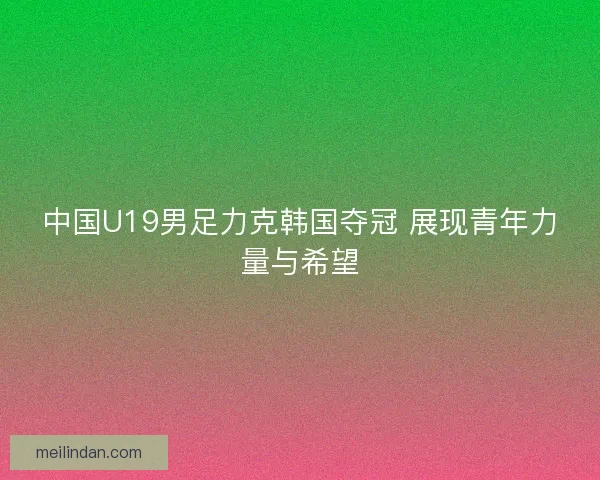 中国U19男足力克韩国夺冠 展现青年力量与希望