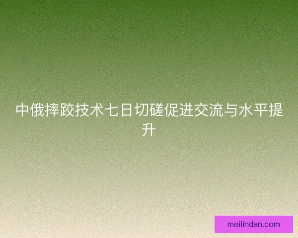 中俄摔跤技术七日切磋促进交流与水平提升