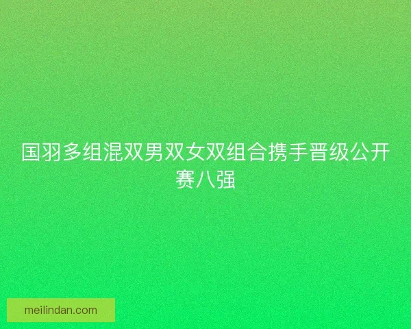 国羽多组混双男双女双组合携手晋级公开赛八强