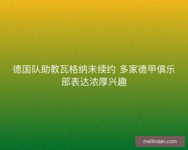 德国队助教瓦格纳未续约 多家德甲俱乐部表达浓厚兴趣