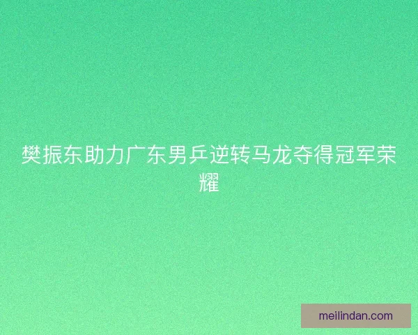 樊振东助力广东男乒逆转马龙夺得冠军荣耀